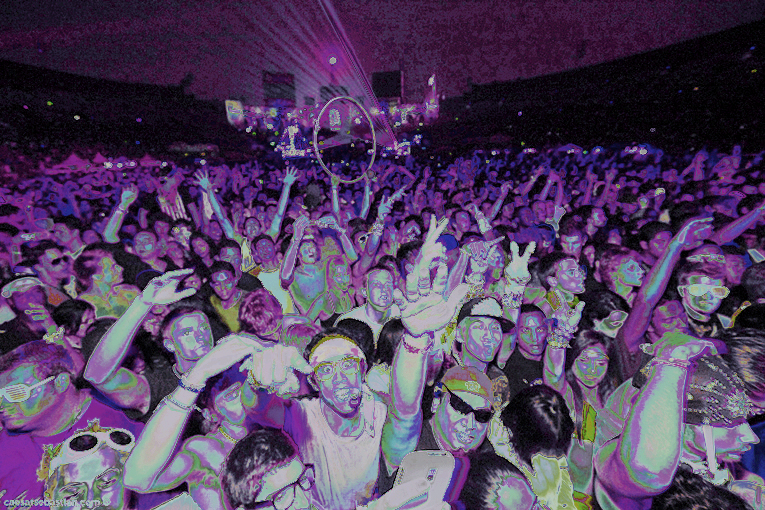 dubstep crowd
